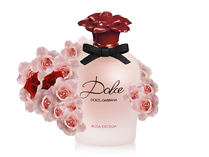 dolce rosa excelsa